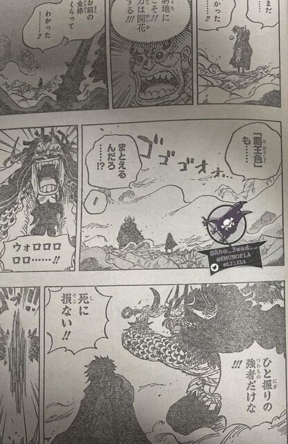 カイドウもタジタジ 速報 One Pieceのゾロ 覇王色を持っていることが判明wwwwwww画像あり 採れたてアニメ速報