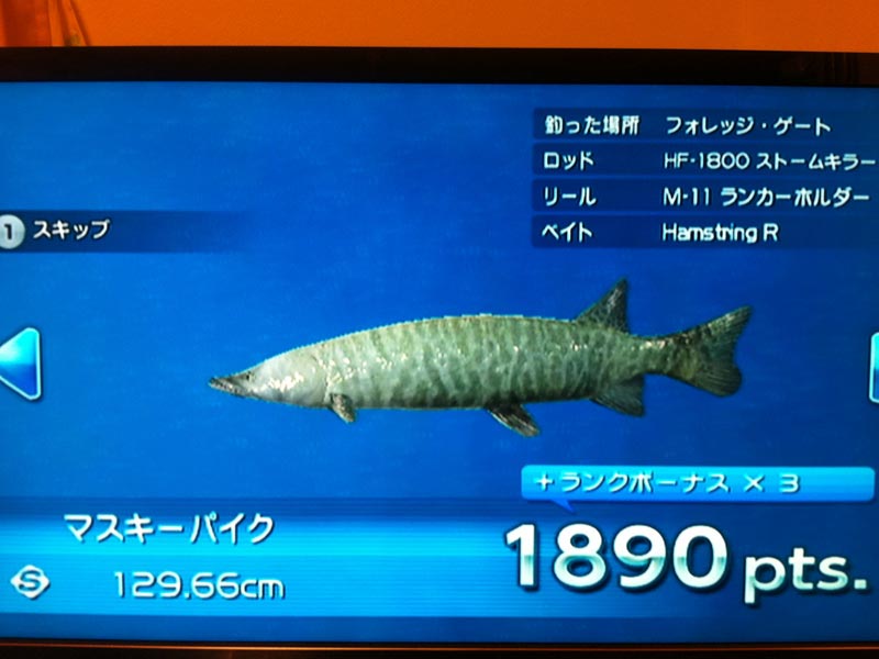 釣りきちアツ平・・・うひょー！ : ランクル80とあつぽんの関係