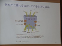 地域内自給