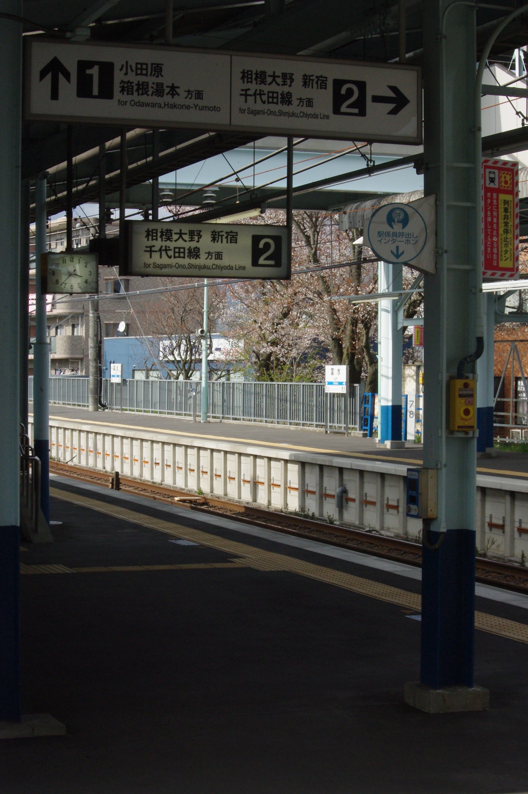 いきものがかりsakura 10 どぶ組の差立便