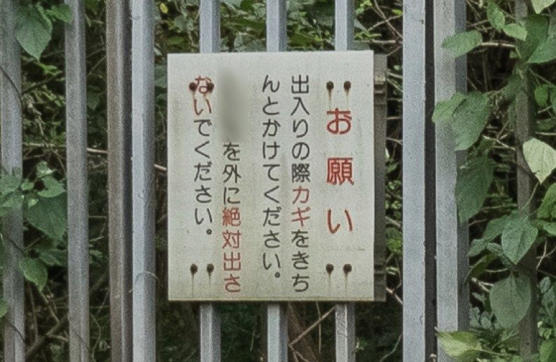土曜プレミアム・ほんとにあった怖い話　夏の特別編2022★7 ->画像>13枚 