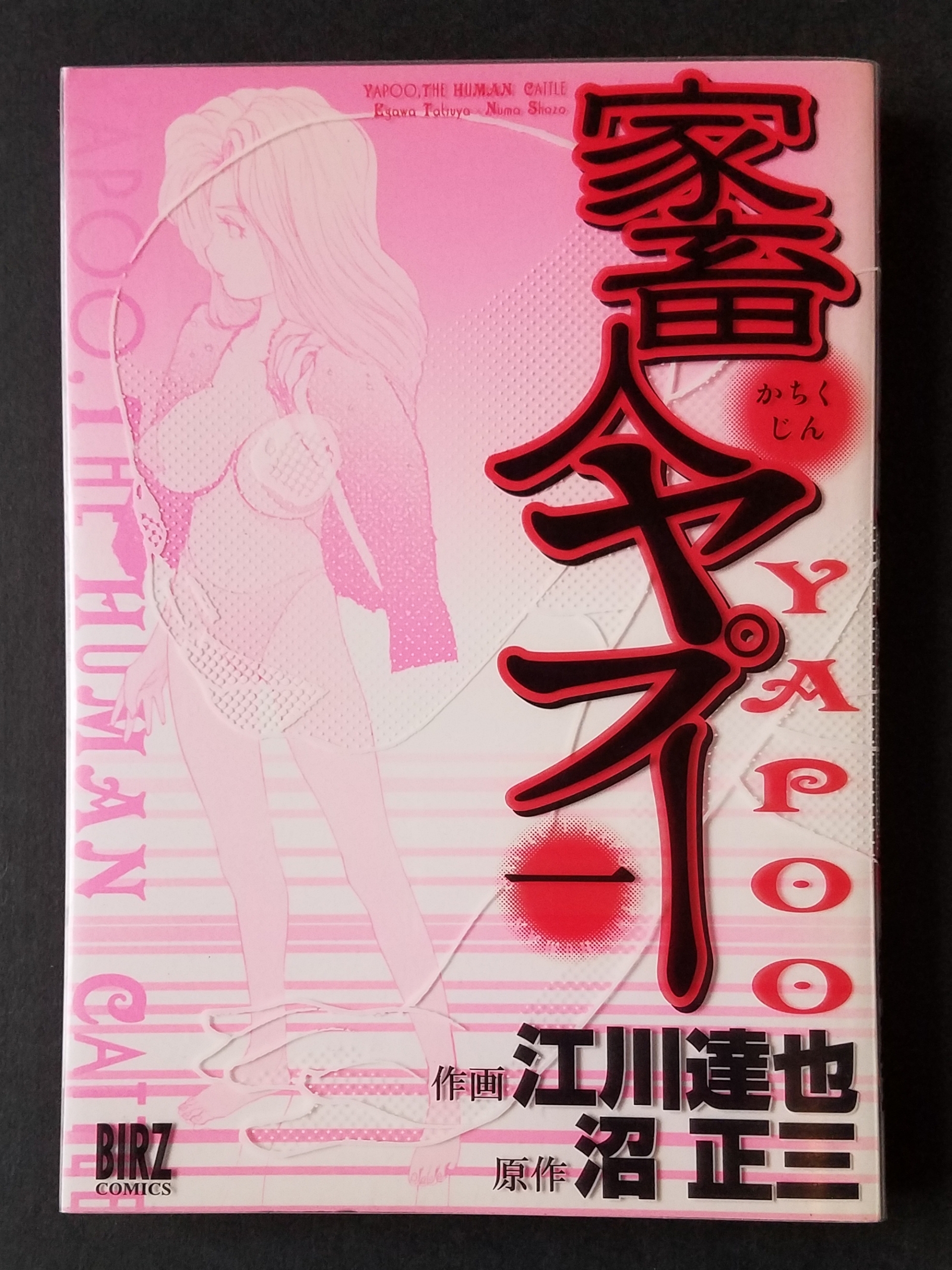 文学 いびつな本棚 文学 いびつな本棚