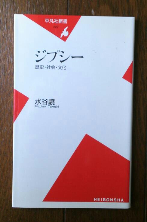 水谷驍 ジプシー いびつな本棚