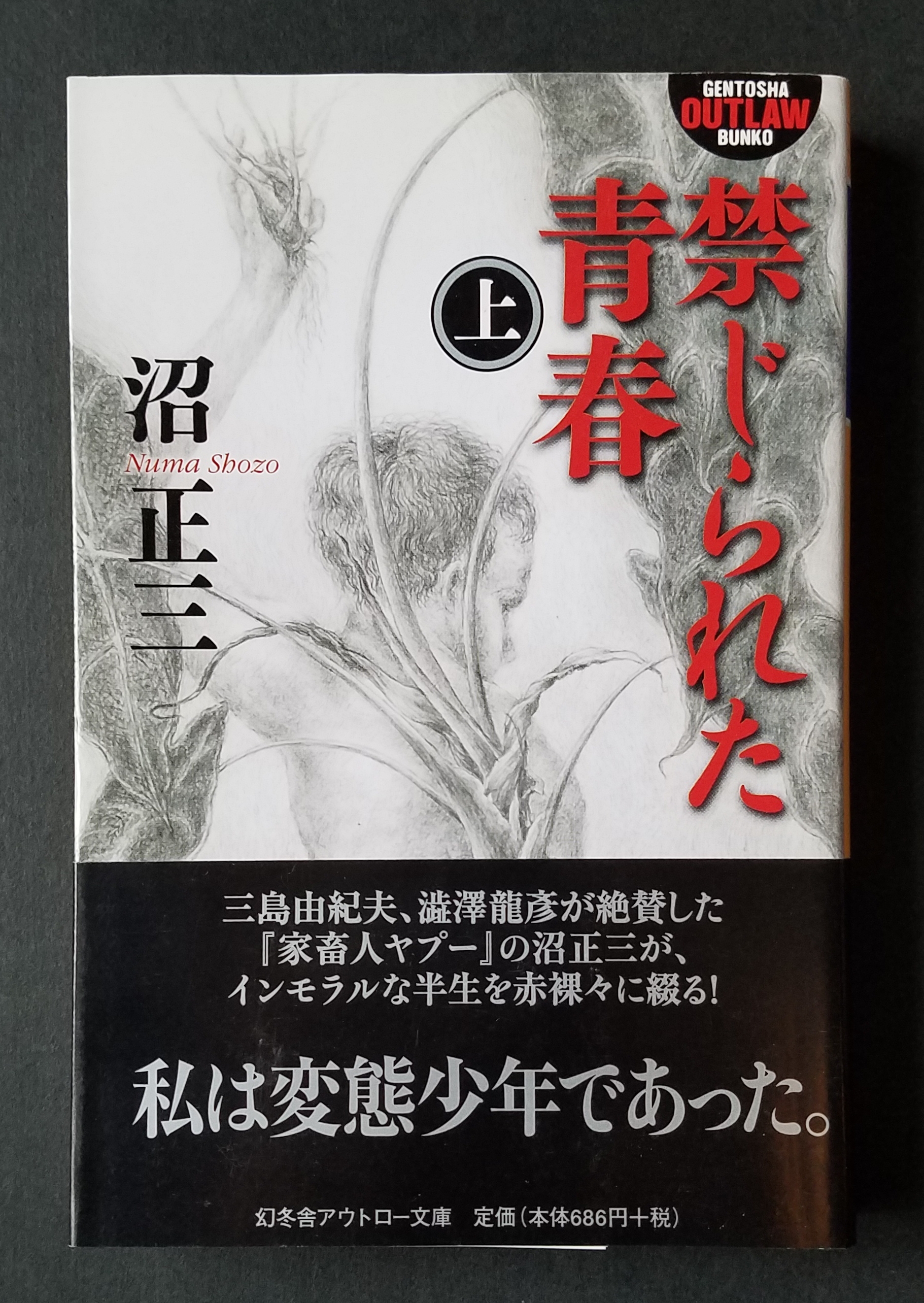 沼正三『禁じられた青春（上）』 : いびつな本棚