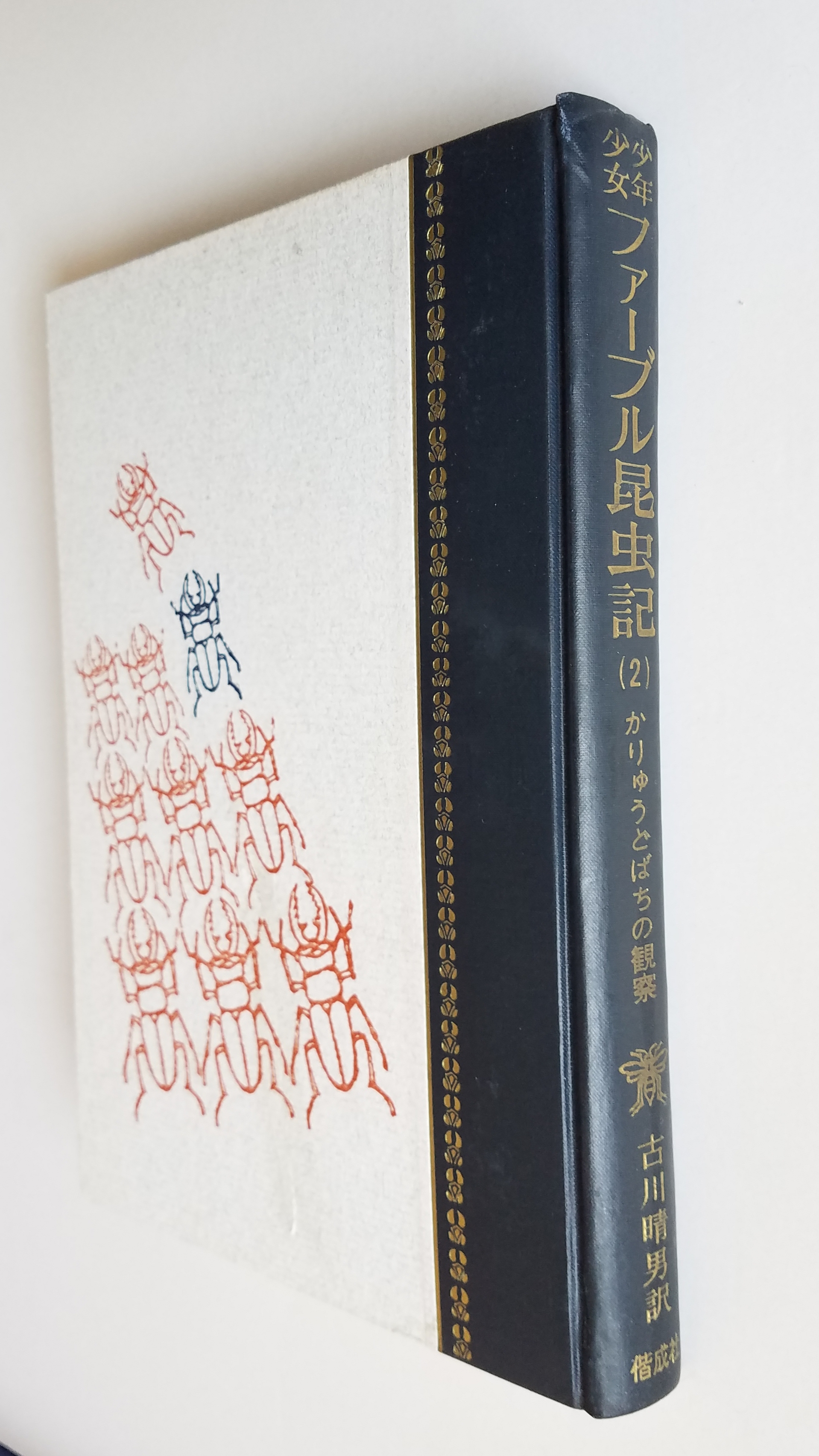 いびつな本棚