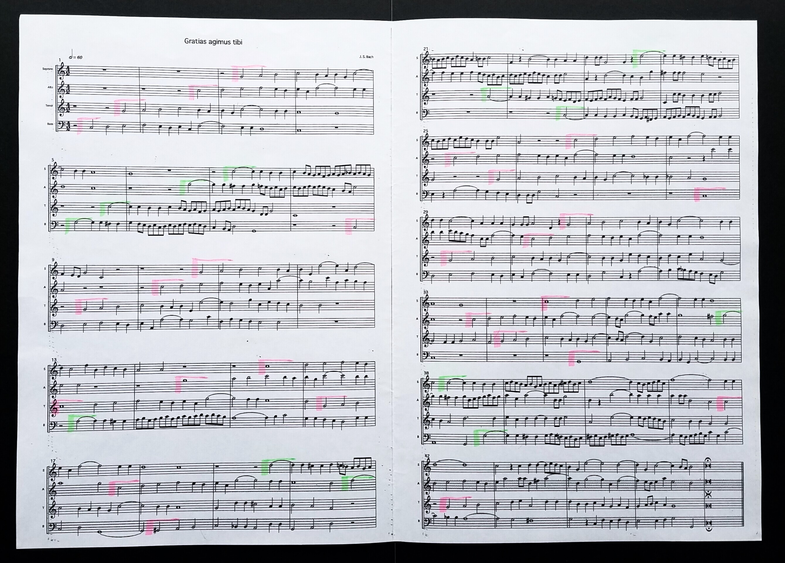 今月の リコーダー吹けるもん 年 芸の不思議 人の不思議