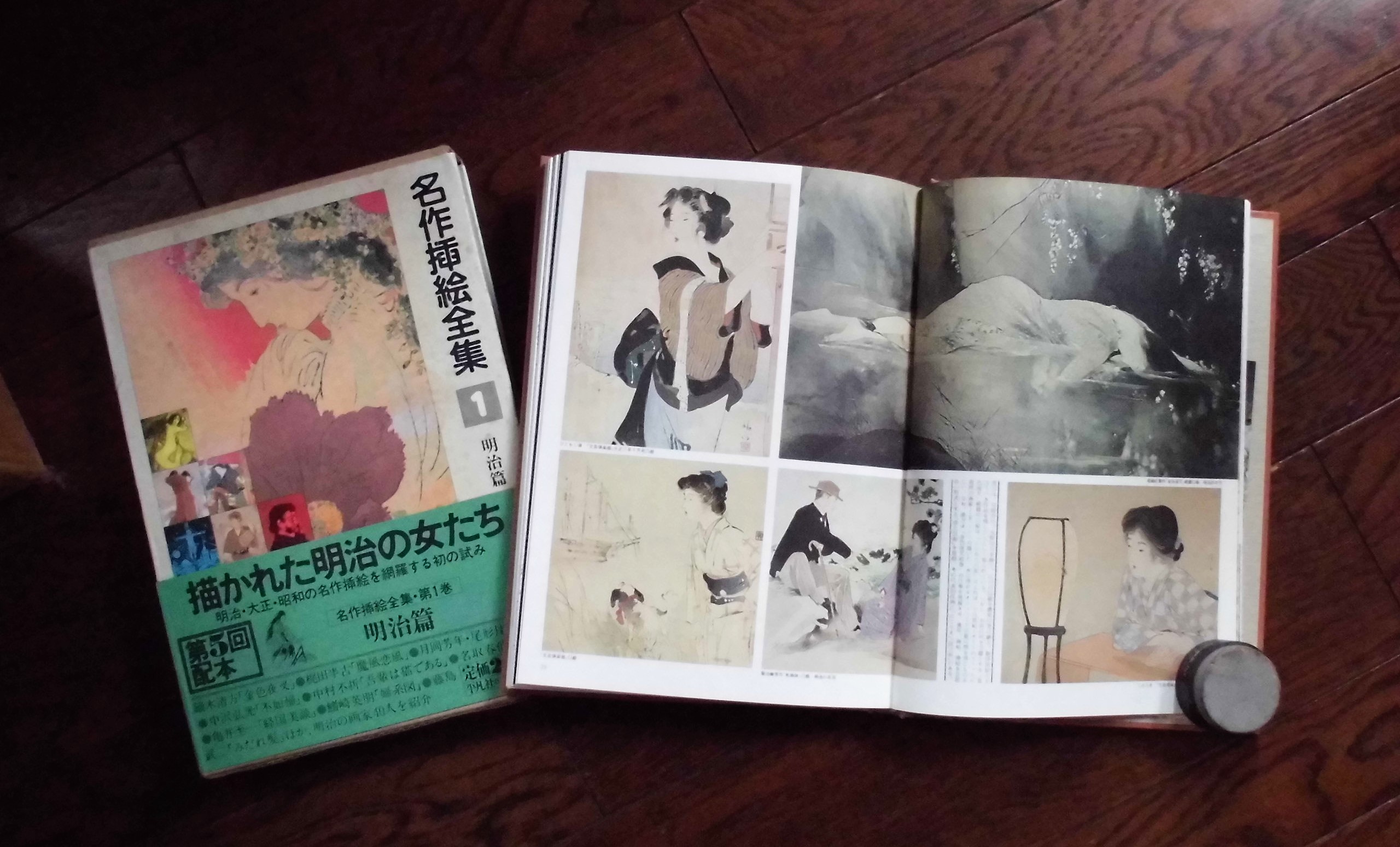 名作挿絵全集〈第10巻〉昭和戦後・現代小説篇 (1981年) |本