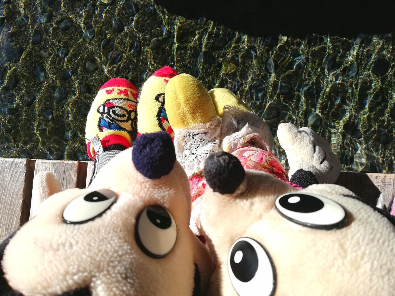 今日もおでかけ ぬい撮り 365日