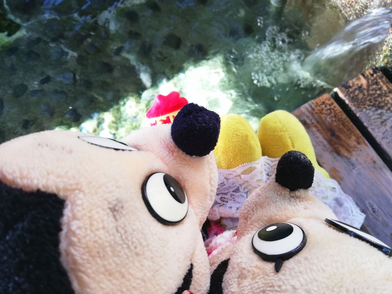 今日もおでかけ ぬい撮り 365日