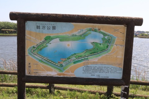 IMG_0347 (中)