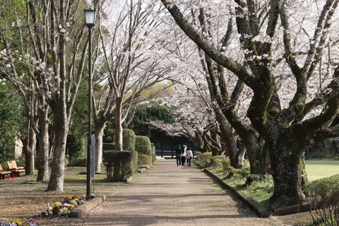 IMG_9480 (中)