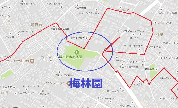 イメージ 6
