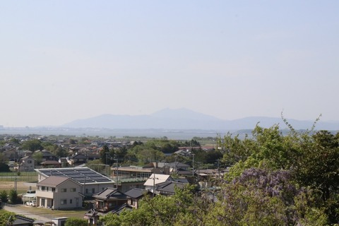 IMG_0378 (中)