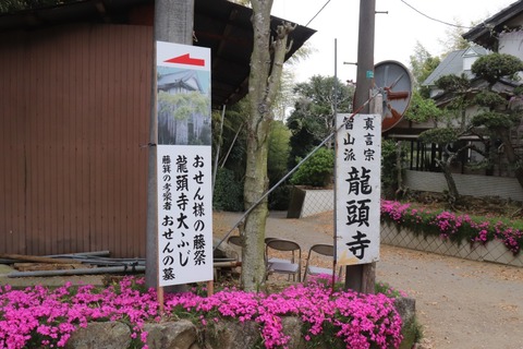IMG_9968 (中)