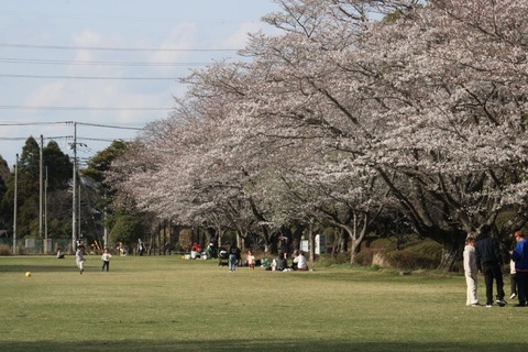 IMG_5667 (中)