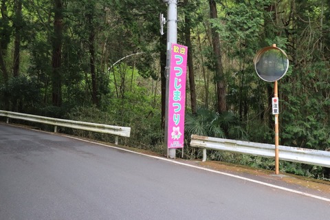 IMG_0010 (中)