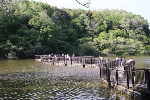 IMG_0416 (中)
