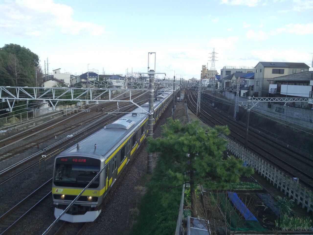 イメージ 3