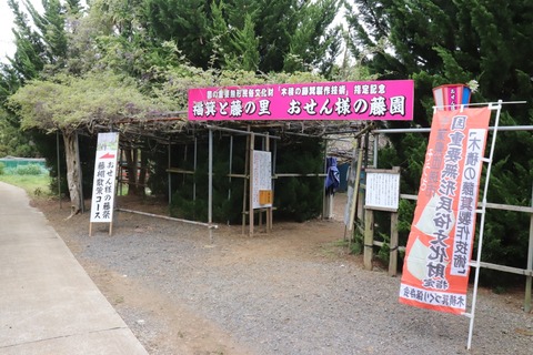 IMG_9984 (中)