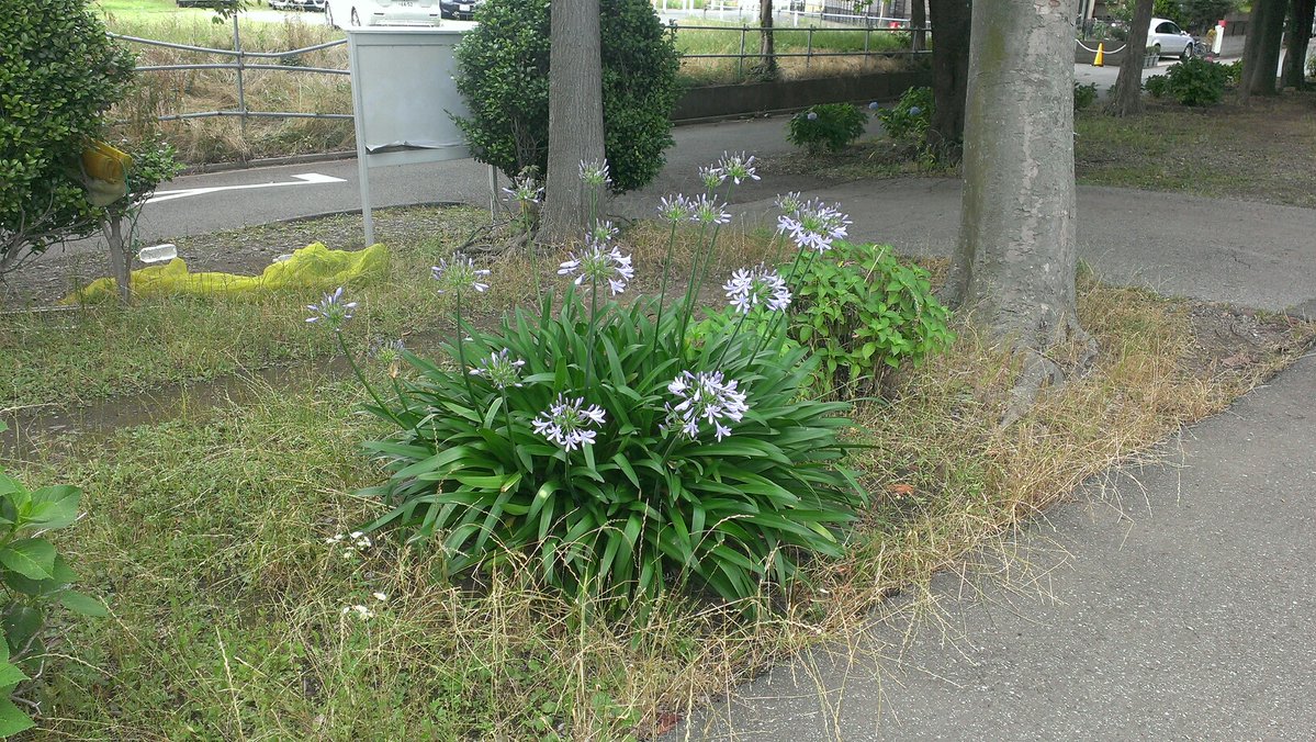 イメージ 5