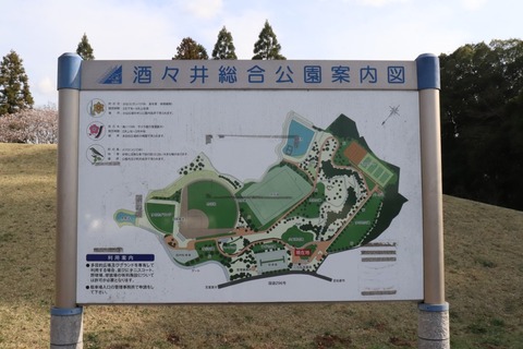 IMG_9478 (中)