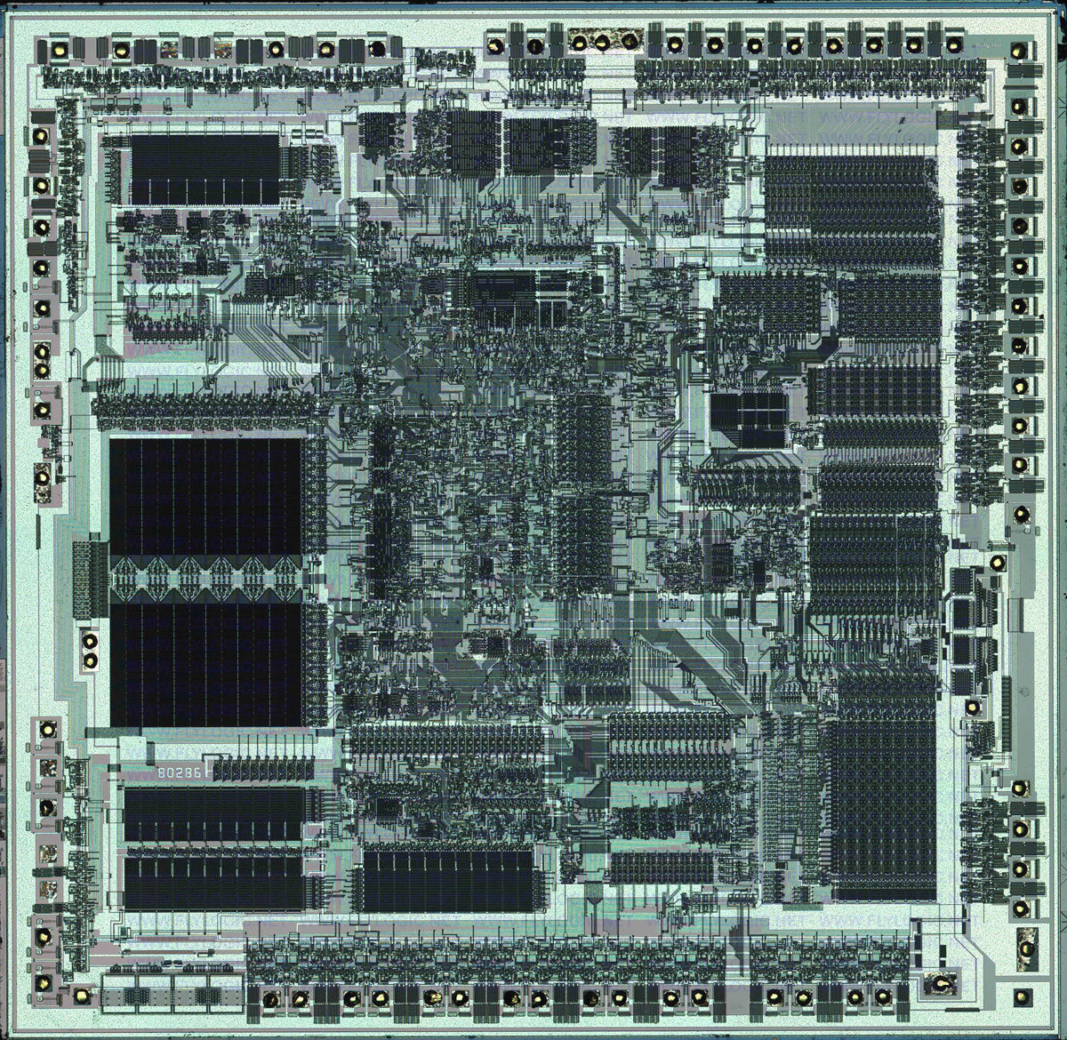 Costa Rica Xeon Processor Developer & 80286 CPu Give Us