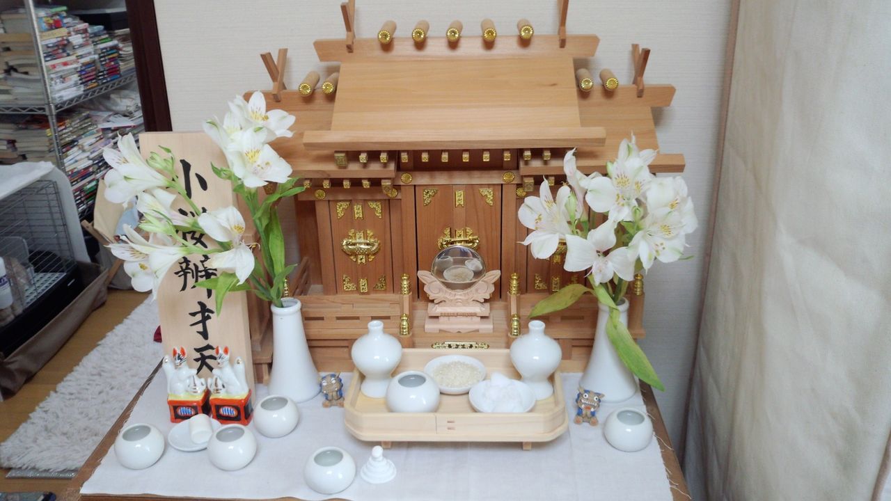 インチキ教団 ウサギと夜と占いを インチキ教団 ウサギと夜と占いを