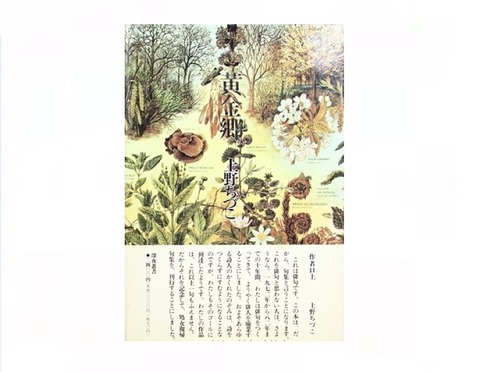 句集 黄金郷(上野ちづこ (上野千鶴子) 江里昭彦編) / 古本、中古
