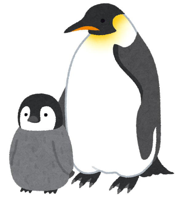 画像 南極撮影人間 ペンギンの群れやん 条約あるから離れて撮っとこ ペンギン なんやお前ら Crただいま速報