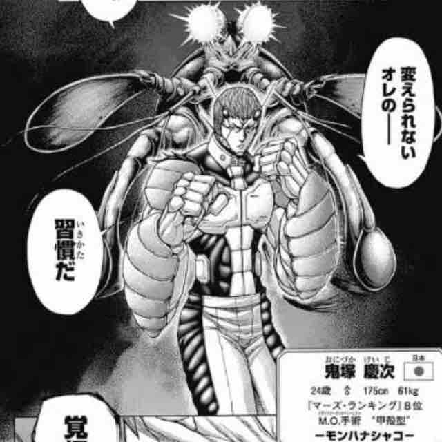 シャコパンチ 拳にナノ粒子をまとって衝撃を吸収していたと判明 Crただいま速報