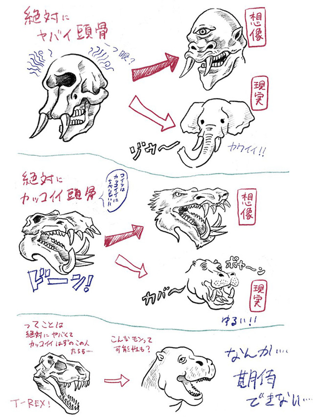少し豊富な贈り物 私のティラノさん宛です その他