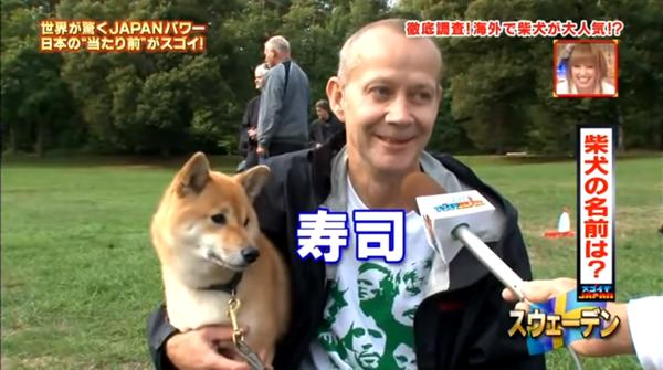 柴犬のthe 犬って感じなんなんやろな Crただいま速報