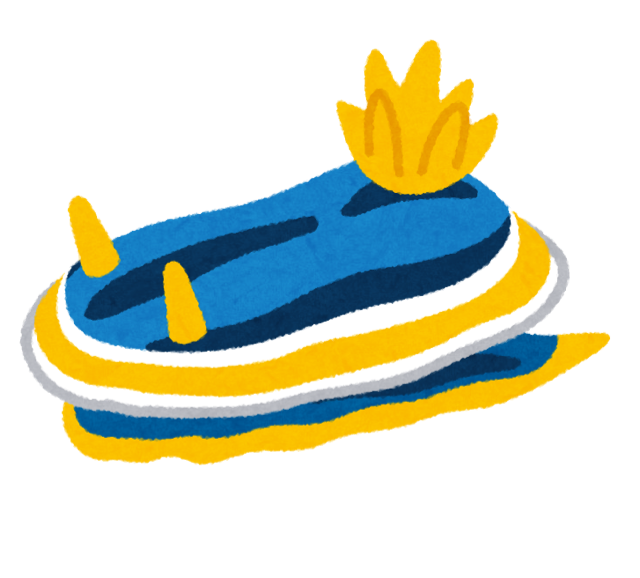 朗報 ウミウシ 頭から胴体再生 自ら切断後 寄生動物排除が目的か 奈良女子大 Crただいま速報