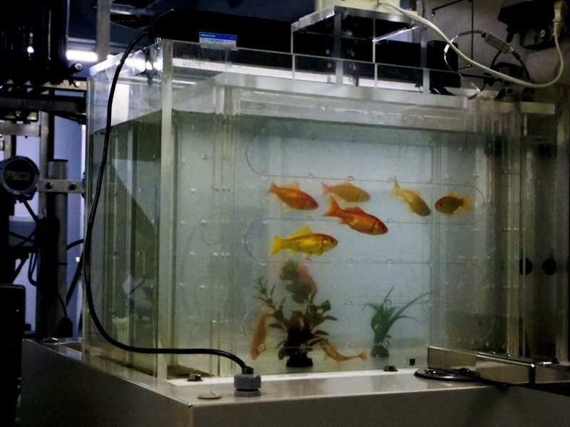 東京都長沢浄水場 見学 １ ２ 感じたまま