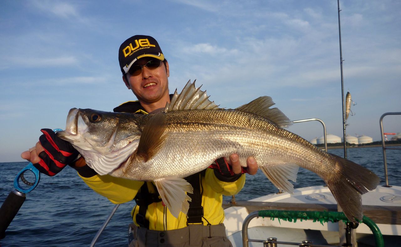 釣った魚 その後 九州を釣ろう