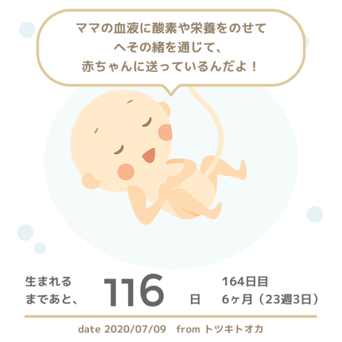 0709 ユニクロのaラインノースリーブワンピースで作る きりっと赤いマタニティコーデ Le Style George