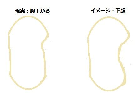 wおなかの膨らみ方 想像と現実の違い ふわゆらり 30代ol主婦の節約 育児記録 wおなかの膨らみ方 想像と現実の違い ふわゆらり 30代ol主婦の節約 育児記録