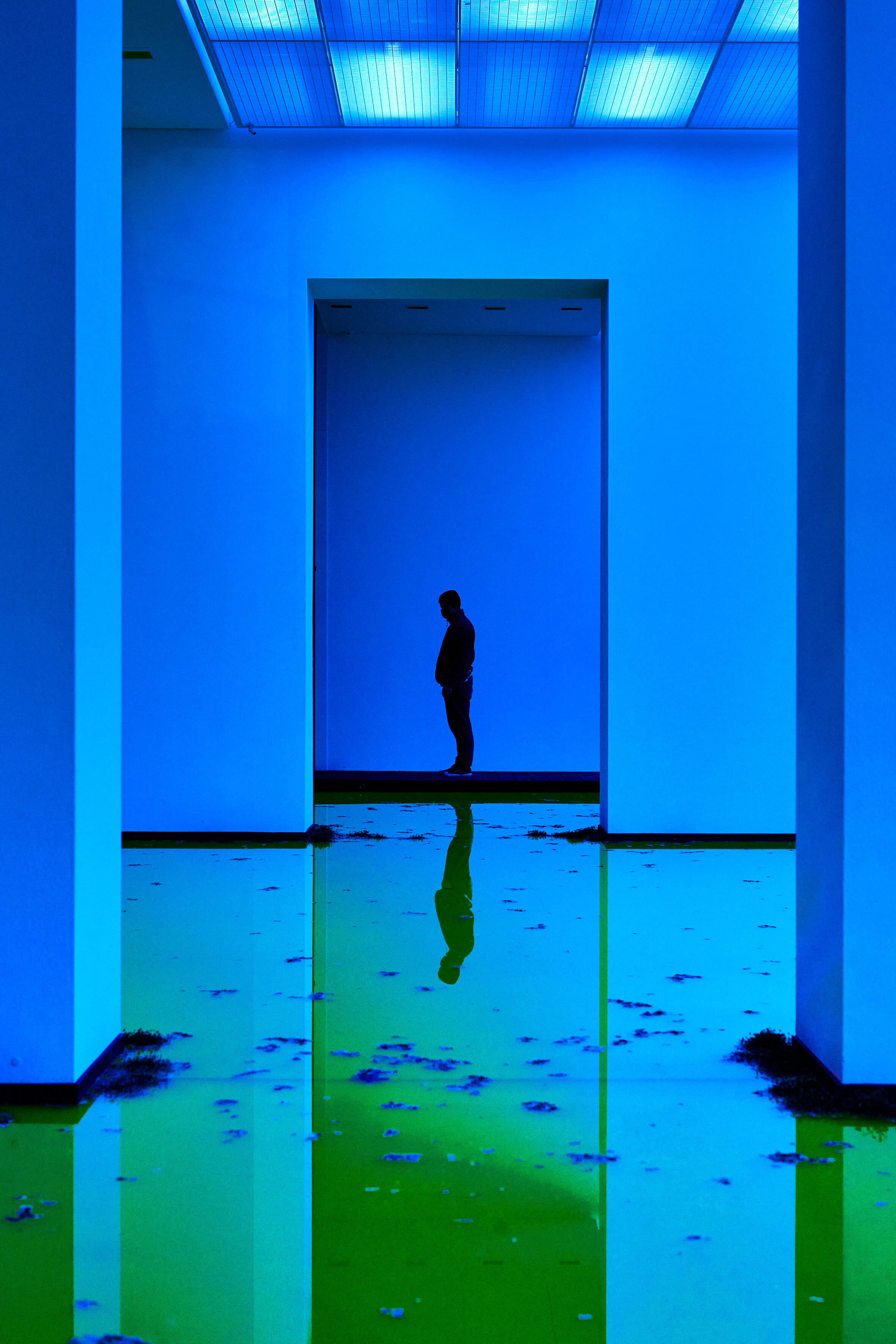 オラファー・エリアソンの展覧会「Life」｜バイエラー財団（バーゼル