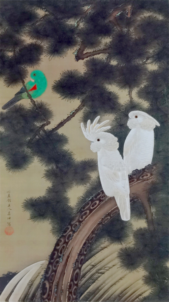 伊藤若冲 動植綵絵の内老松鸚鵡図 : クラシック音楽とアート