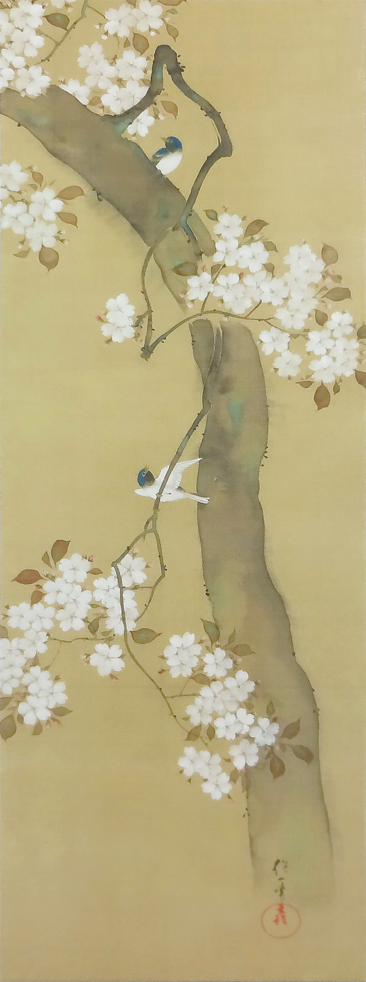 酒井抱一『十二か月花鳥図』額 全12点セット【ポイント5％還元