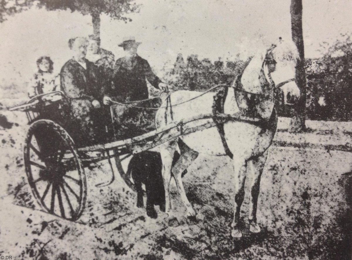 アンリ・ルソー｜ポール・ギヨームとドメニカ夫人のコレクション