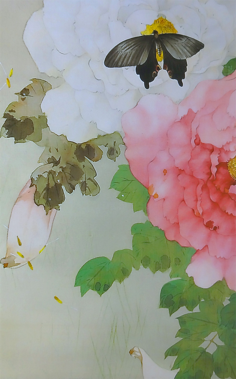 新旧の牡丹｜鈴木其一：牡丹図 vs 渡辺省亭：牡丹と蝶図 : クラシック