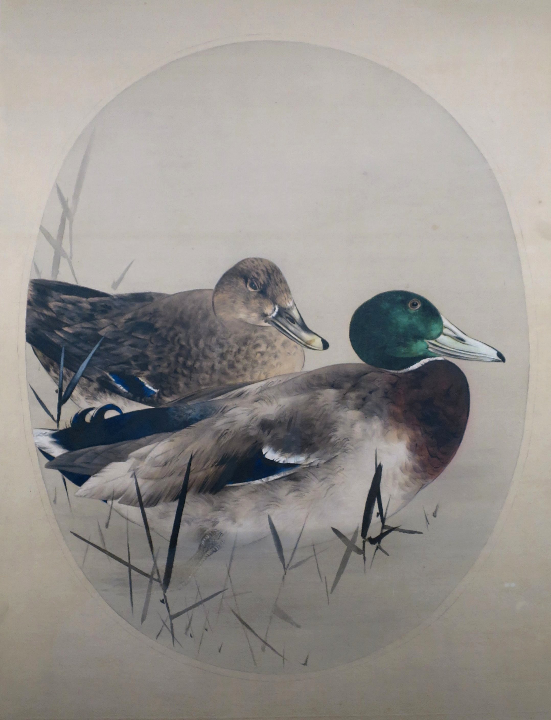 迎賓館赤坂離宮 七宝額原画|渡辺省亭 欧米を魅了した花鳥画 迎賓館赤坂離宮 七宝額原画|渡辺省亭 欧米を魅了した花鳥画