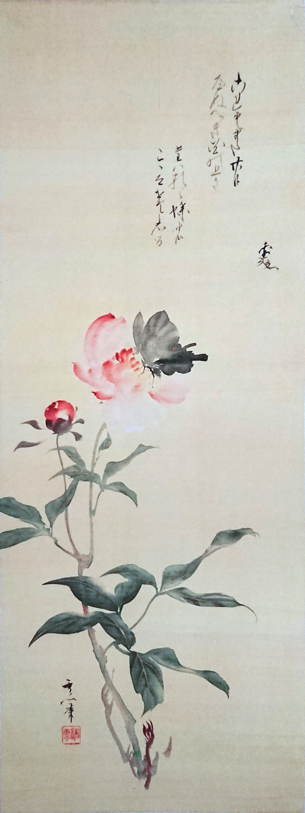 鈴木其一： 蝶に芍薬図｜虫めづる日本の人々＠サントリー美術館