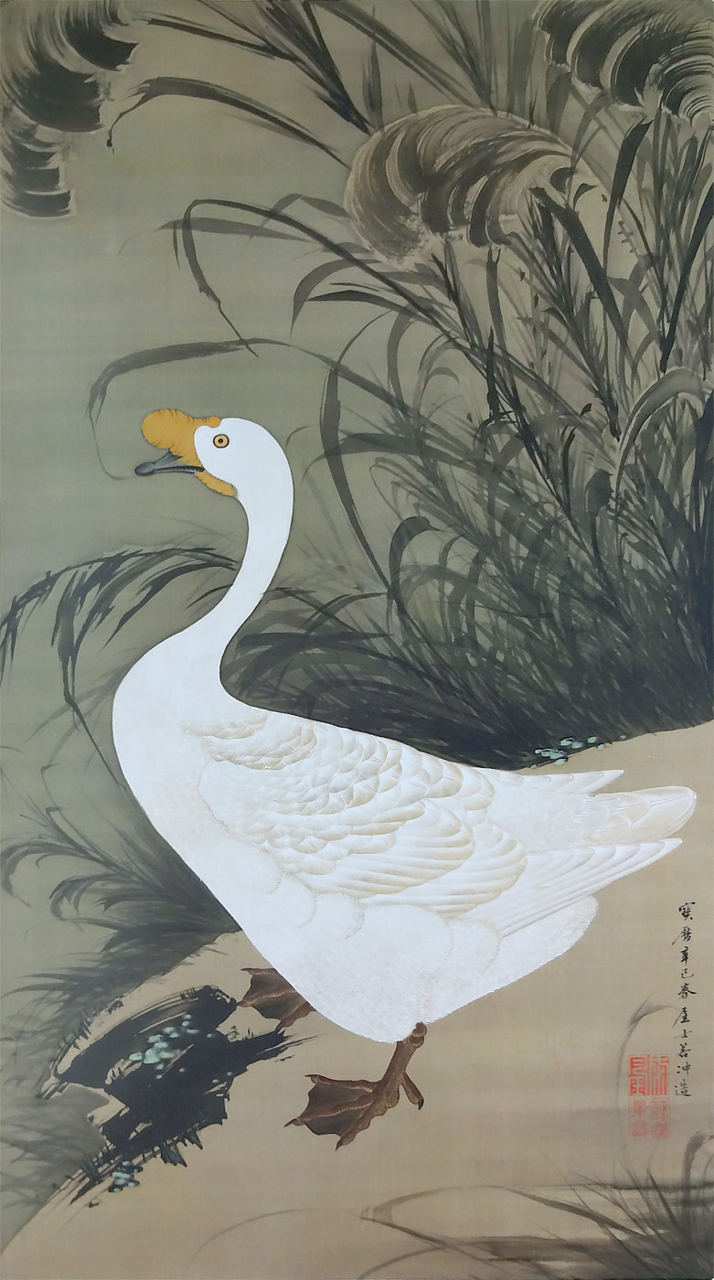 伊藤若冲の鵞鳥と雁 動植綵絵 生誕300年 クラシック音楽とアート 伊藤若冲の鵞鳥と雁 動植綵絵 生誕300年 クラシック音楽とアート