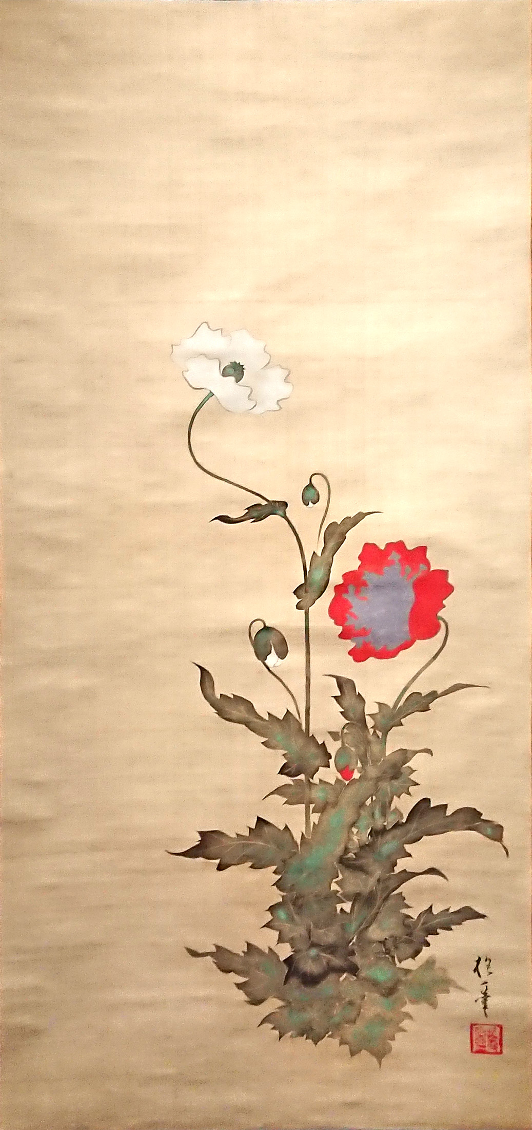 酒井抱一: 芥子藪柑子図|琳派と印象派展・後期展示 酒井抱一: 芥子藪柑子図|琳派と印象派展・後期展示