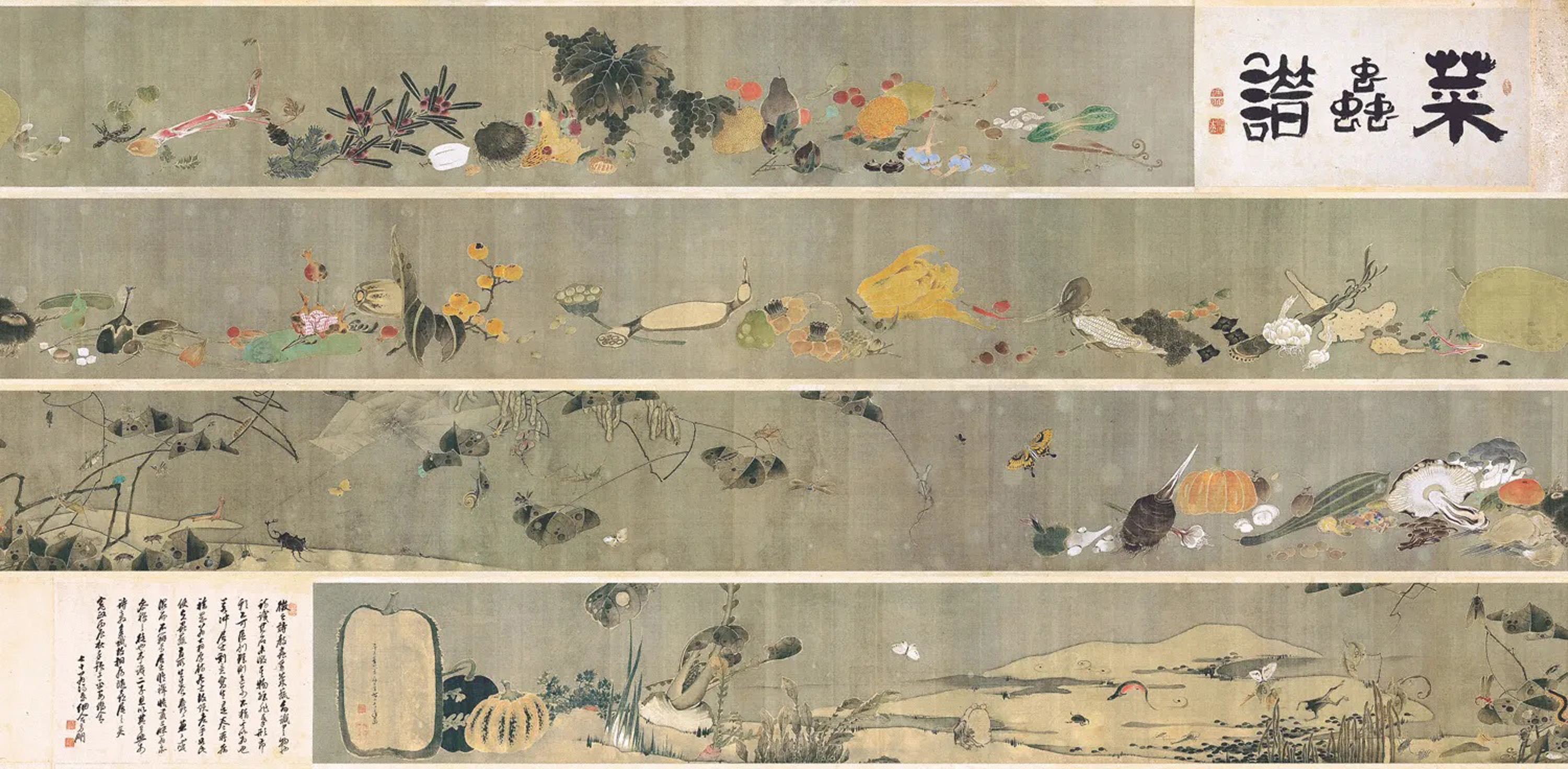 伊藤若冲の《菜蟲譜》を展示｜虫めづる日本の人々＠サントリー美術館