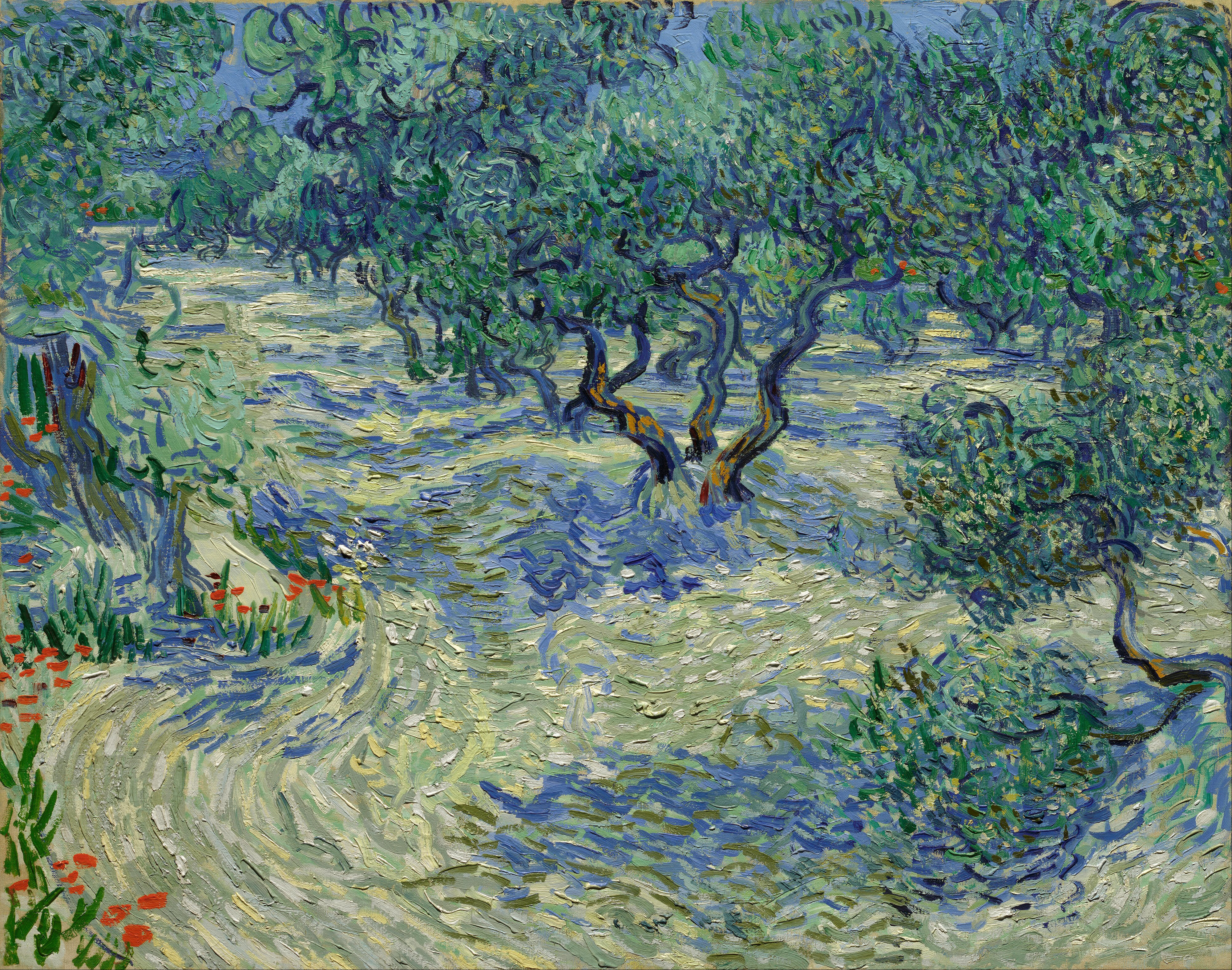 ゴッホのオリーブ絵画をまとめて展示 ダラスとアムステルダムで クラシック音楽とアート