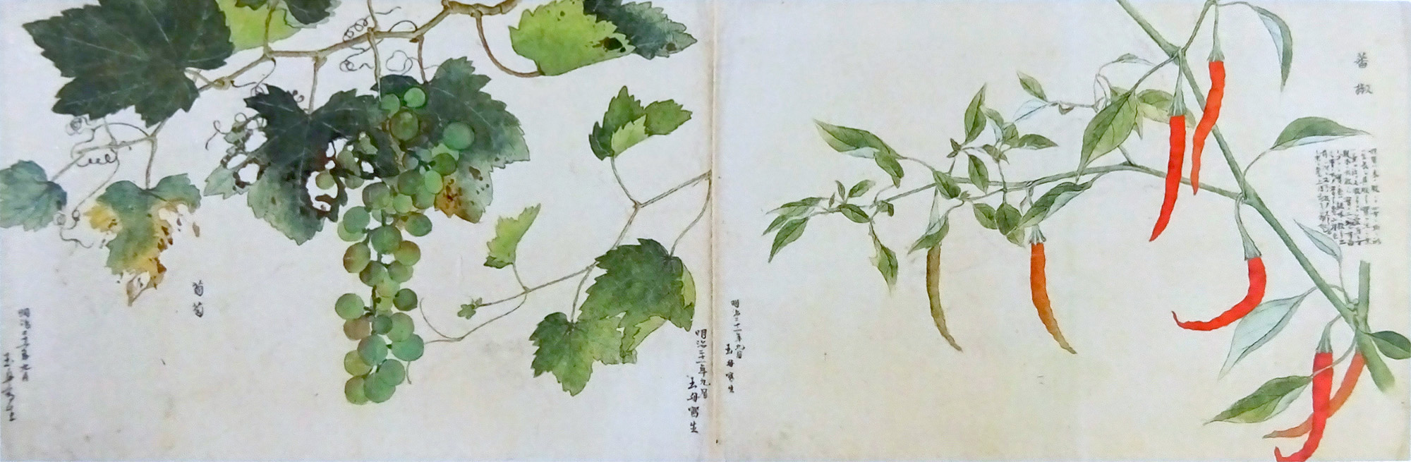 川合玉堂: 写生画巻|没後60周年記念展@山種美術館 川合玉堂: 写生画巻|没後60周年記念展@山種美術館