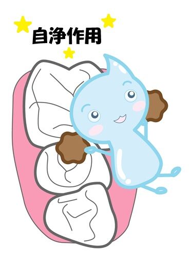 唾液の働き、自浄作用